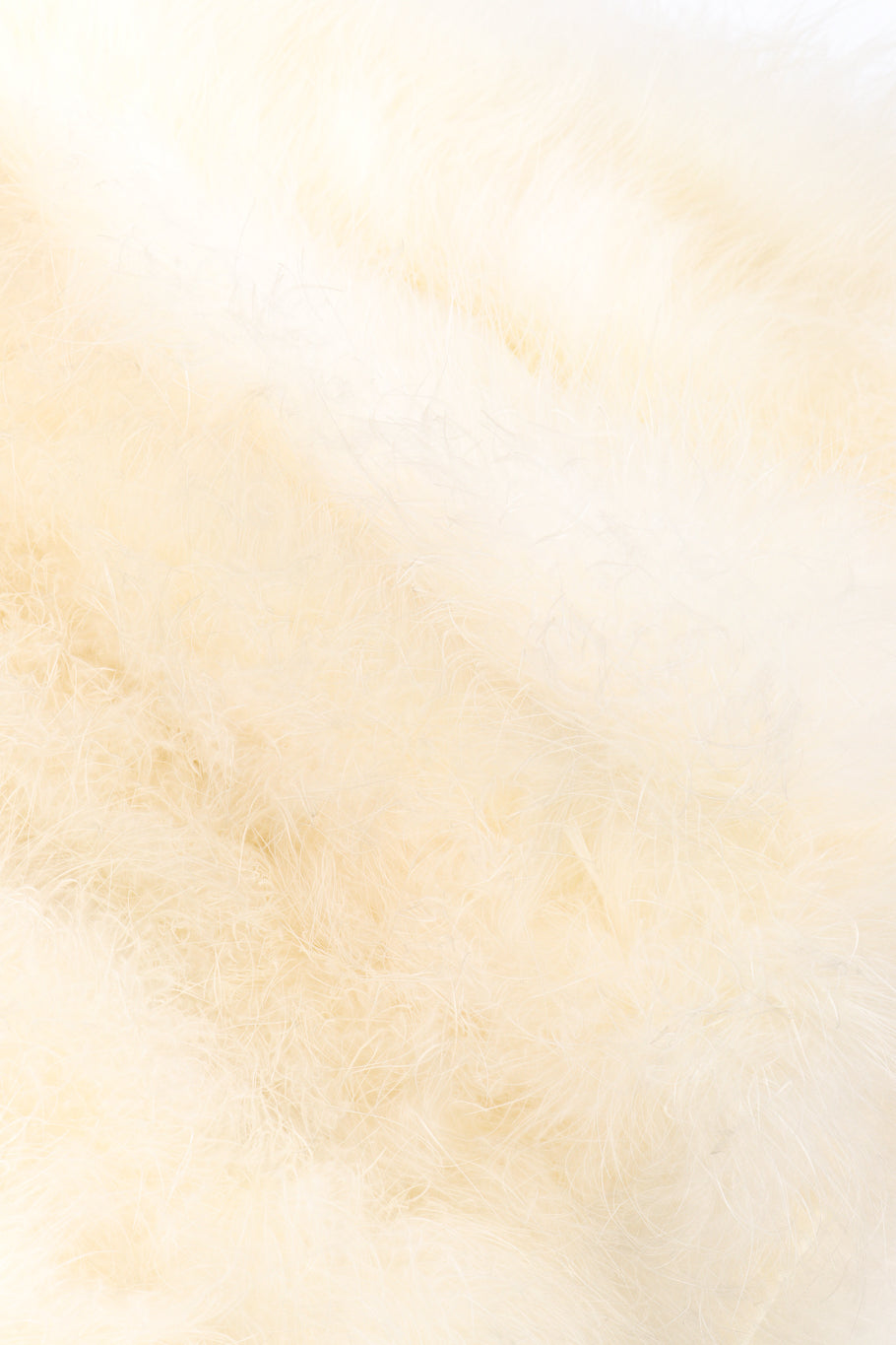 Vintage ostrich feather jacket by Anthon's Furs fur close @recessla