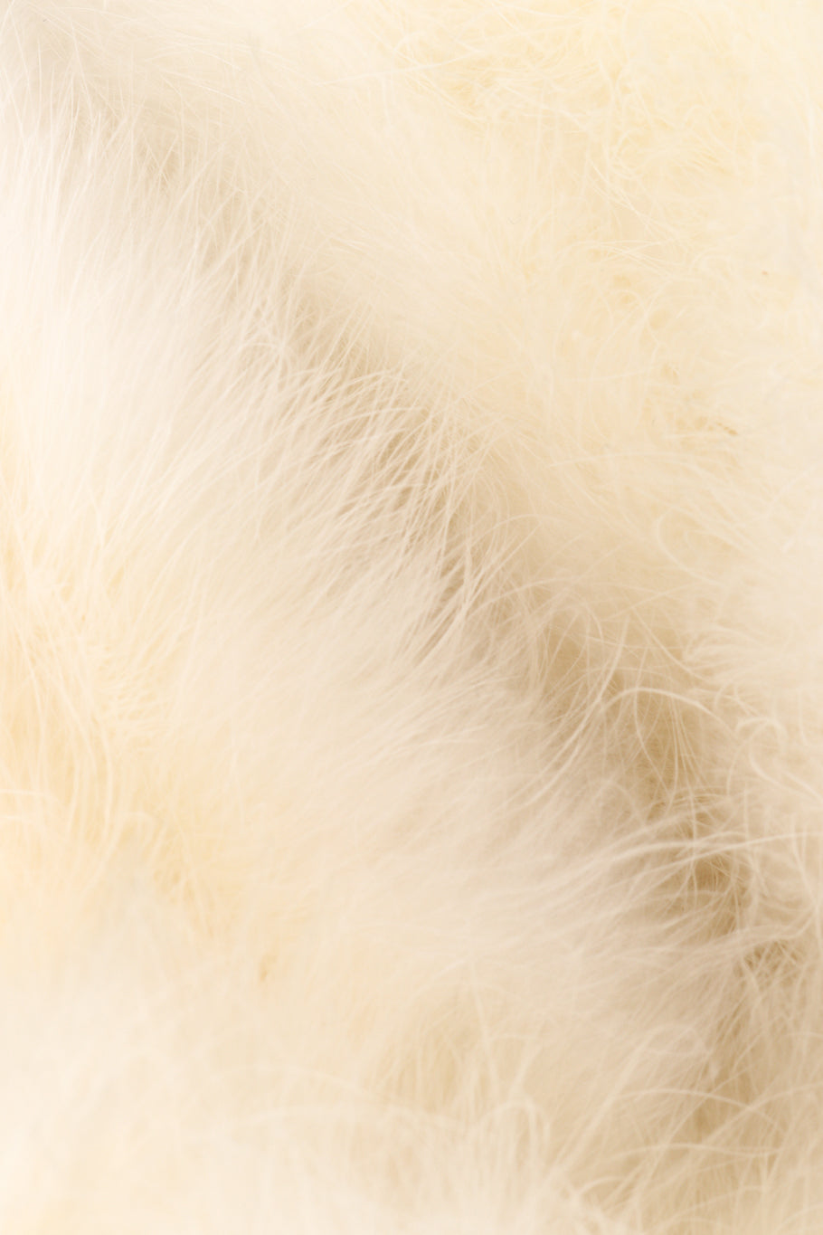 Vintage ostrich feather jacket by Anthon's Furs fur close @recessla