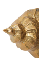 conch shell figurine oxidation @ Recess LA