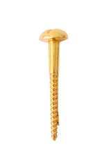 Flathead Screw Brooch by Vera Borea @ Recess LA
