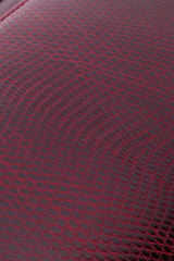 Lanvin Lizard Deco Clutch skin closeup @recessla