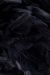 Oscar de la Rent 2009 F/W Feather Dress fabric detail @RECESS LA