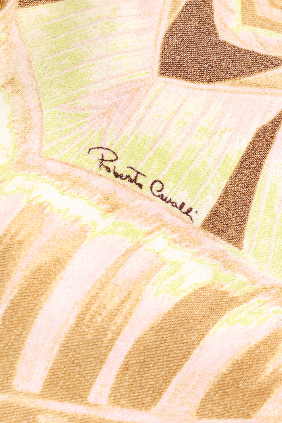 Palm print jeans by Roberto Cavalli flat lay print signature close @recessla