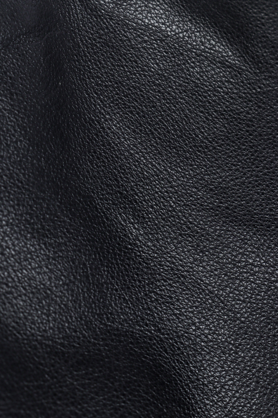 Vintage Stormy Leather Zipper Rise Leather Pant leather closeup @recessla
