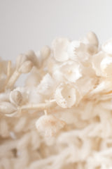 Albrizio Lord & Taylor Lily Of The Valley Crochet Casque Cap Hat