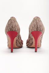 Recess Los Angeles Designer Consignment Resale Recycled Vintage Christian Dior John Galliano 2004 Rasta Collection Monogram Heels