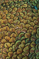 Recess Los Angeles Vintage Jack McConnell Peacock Feather Swirl Capulet Casque Fascinator Hat