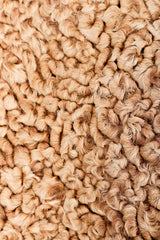 Vintage Norma Persian Lamb Fur detail