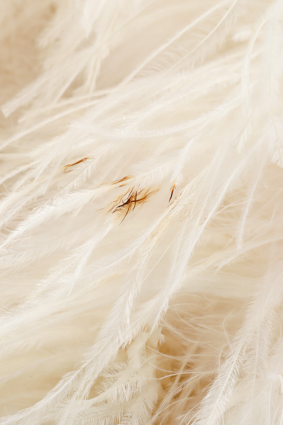 Vintage Ostrich Feather Cape discoloration on feathers @Recessla