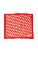 Christian Dior Oblique Monogram Scarf @ Recess LA