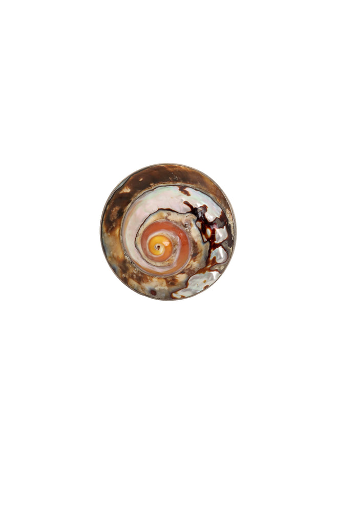 Sterling Nautilus Shell Ring @ Recess LA
