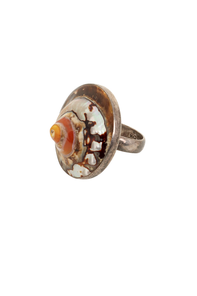 Sterling Nautilus Shell Ring side @ Recess LA