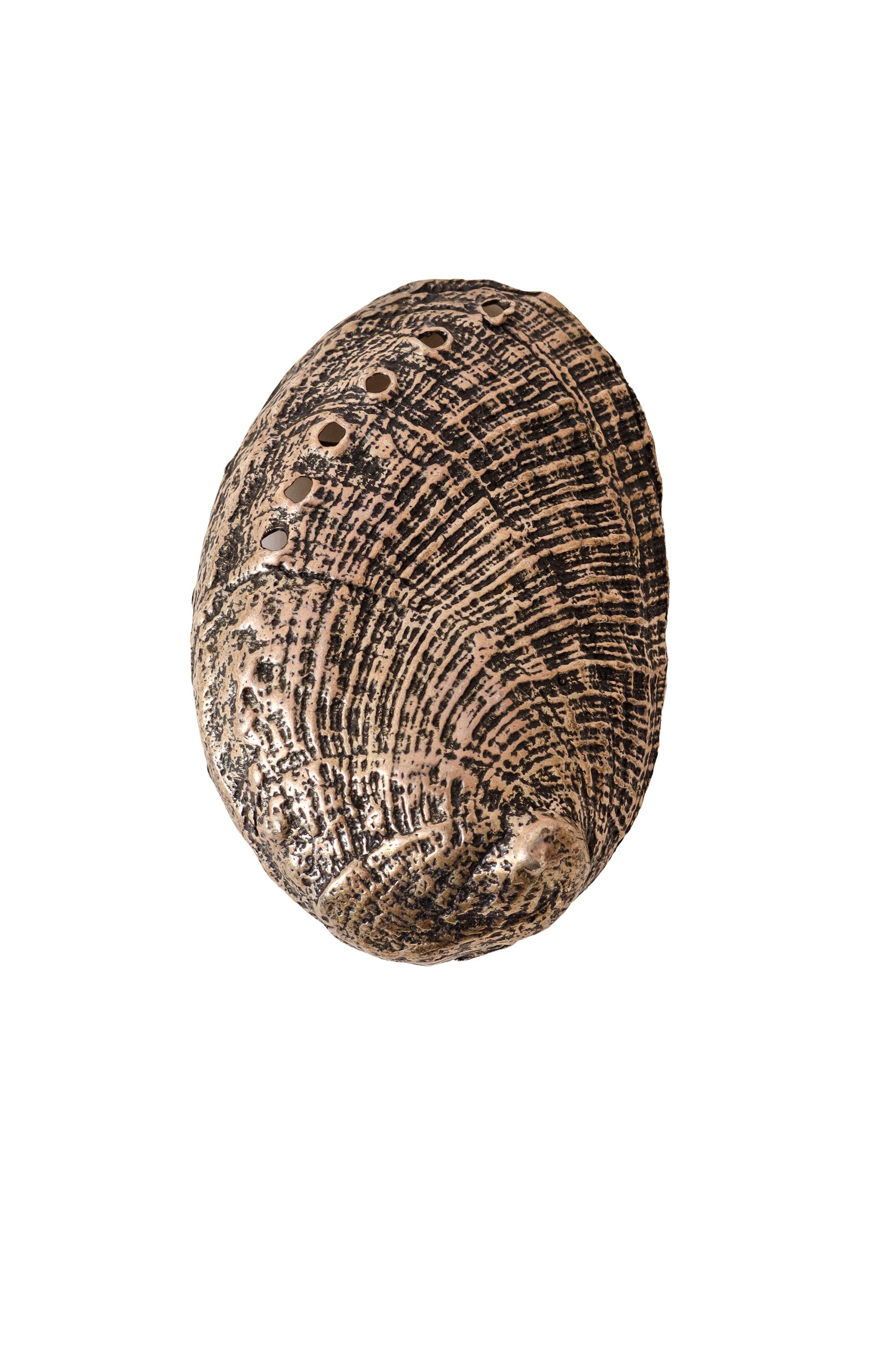 Abalone Seashell Metal Belt Buckle @ Recess LA 