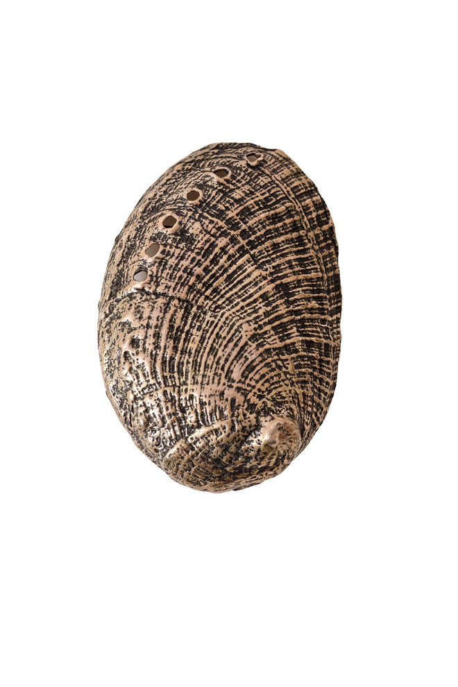 Abalone Seashell Metal Belt Buckle @ Recess LA 