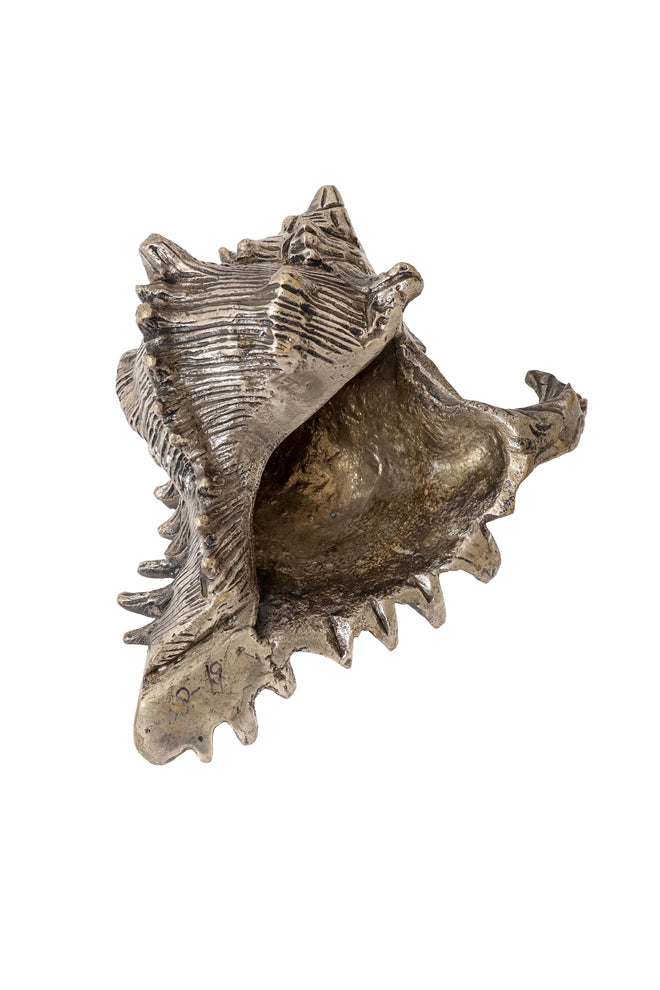 Sculptural conch shell figurine I inside @ Recess LA
