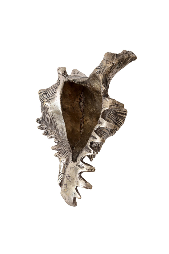 Sculptural conch shell figurine I @ Recess LA