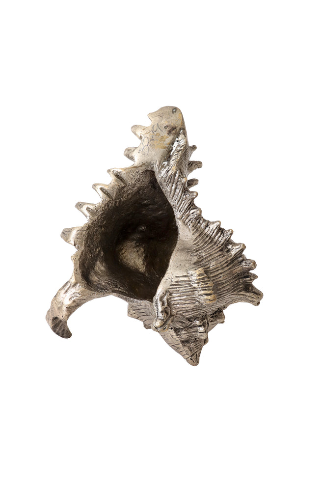Sculptural conch shell figurine II inside @ Recess LA