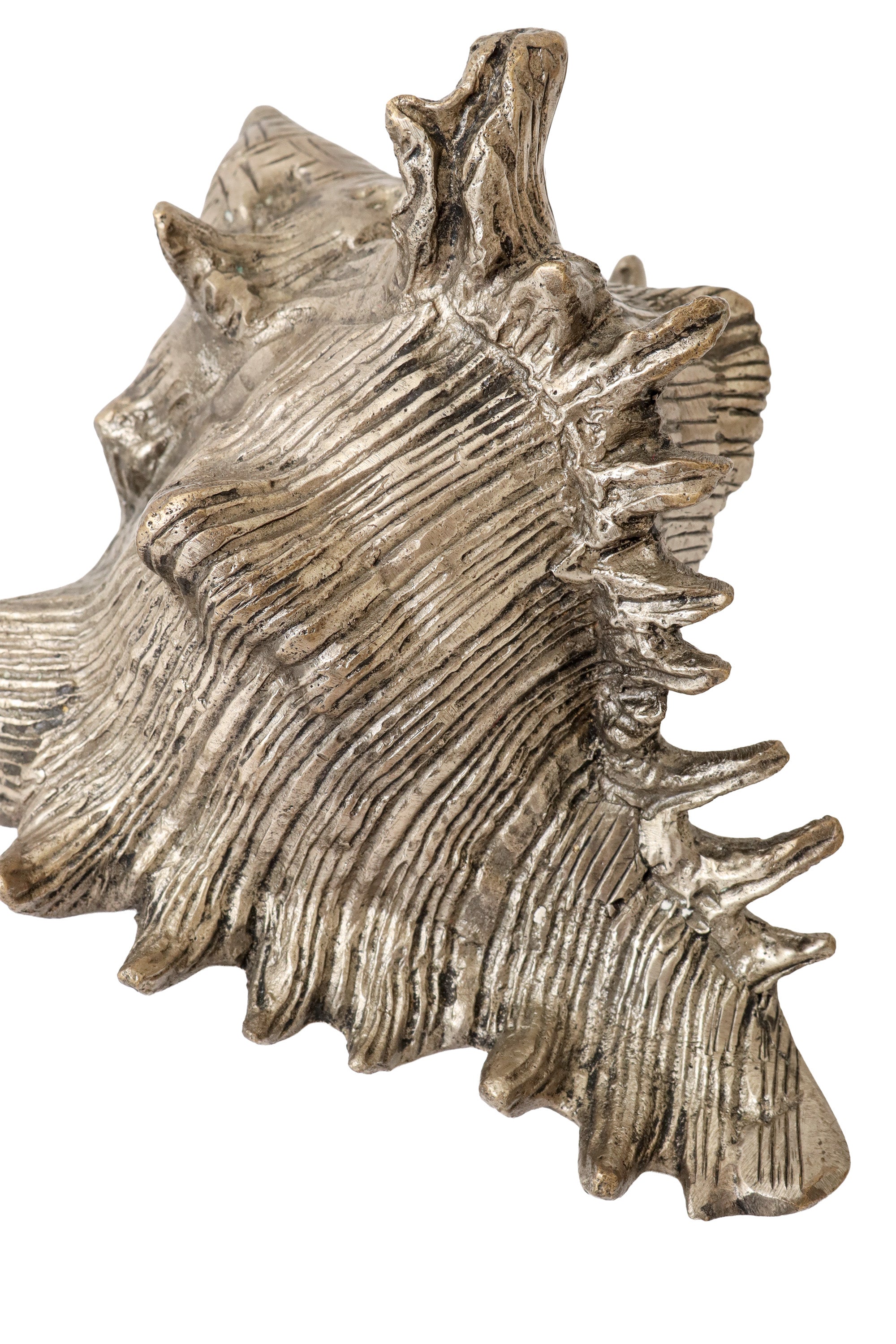 Sculptural conch shell figurine II close @ Recess LA