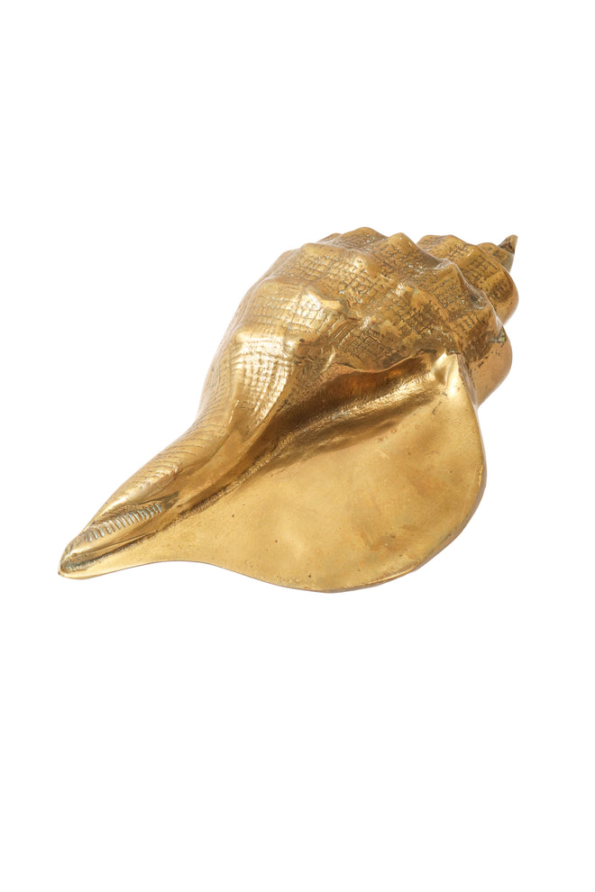 conch shell figurine @ Recess LA