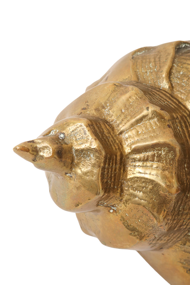 conch shell figurine oxidation @ Recess LA
