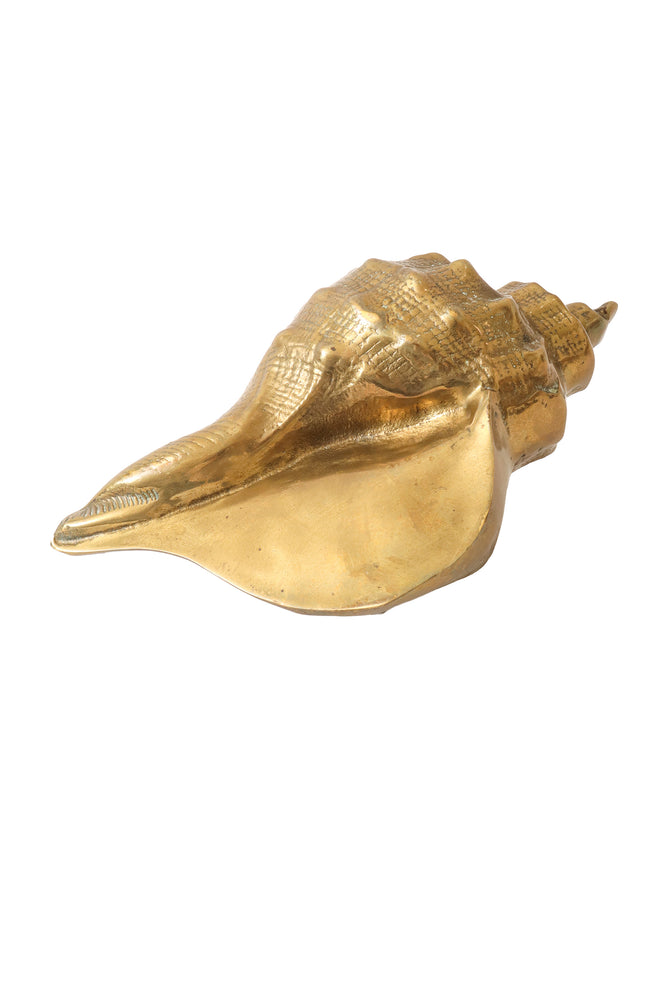conch shell figurine inside @ Recess LA