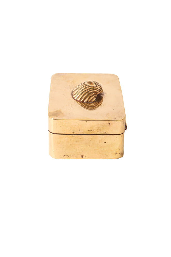 Metal box with shell lid side @ Recess LA