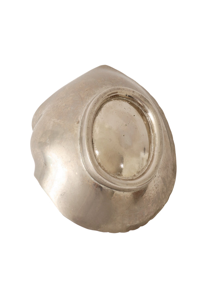 Nautilus shell trinket dish bottom @ Recess LA
