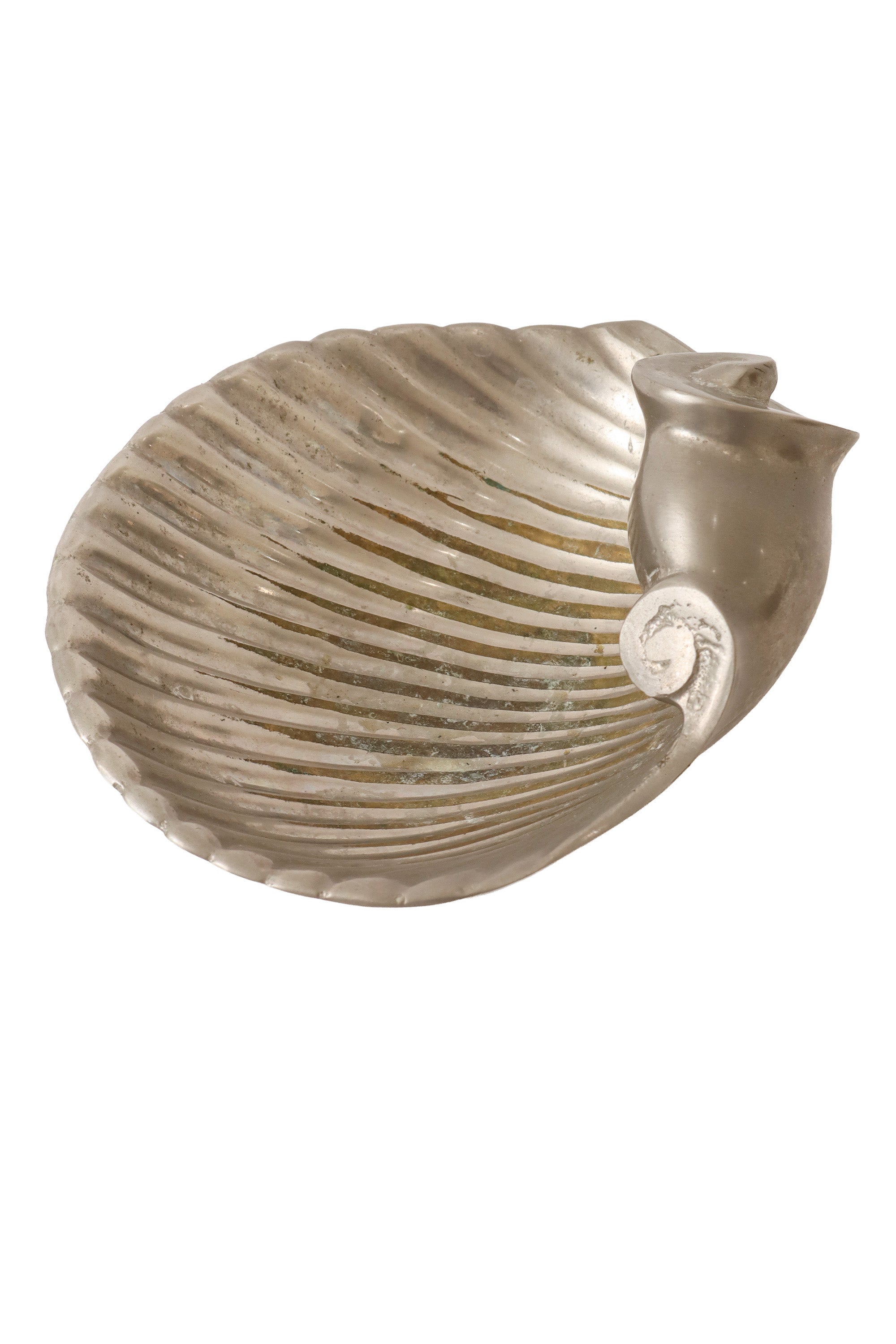 Nautilus shell trinket dish side @ Recess LA
