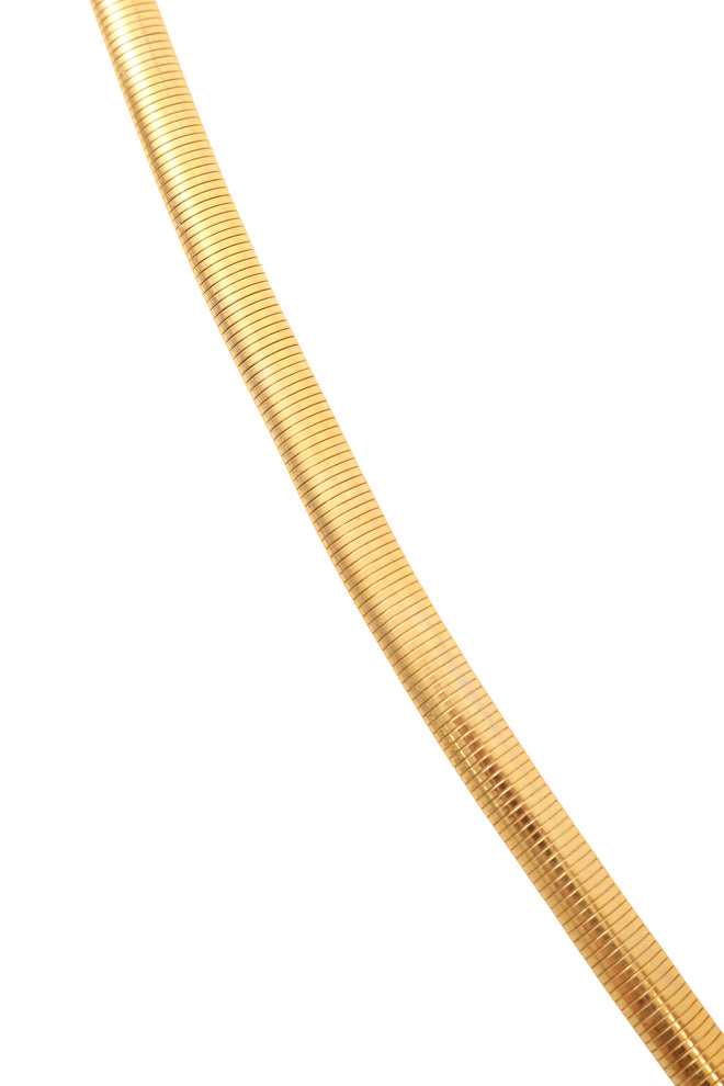 Shell Clasp Omega Chain Belt chain close @ Recess LA