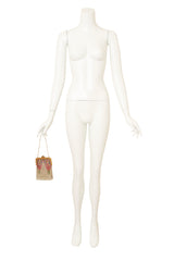 Vintage Whiting & Davis Gold Ribbed Frame Rose Mesh Bag on mannequin @ Recess LA