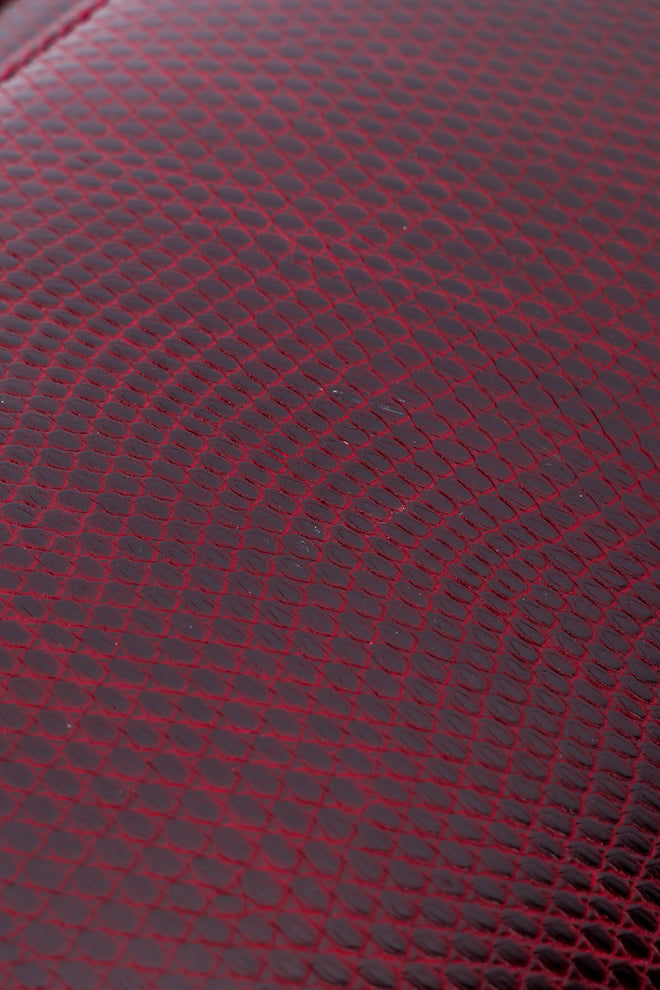 Lanvin Lizard Deco Clutch skin closeup @recessla