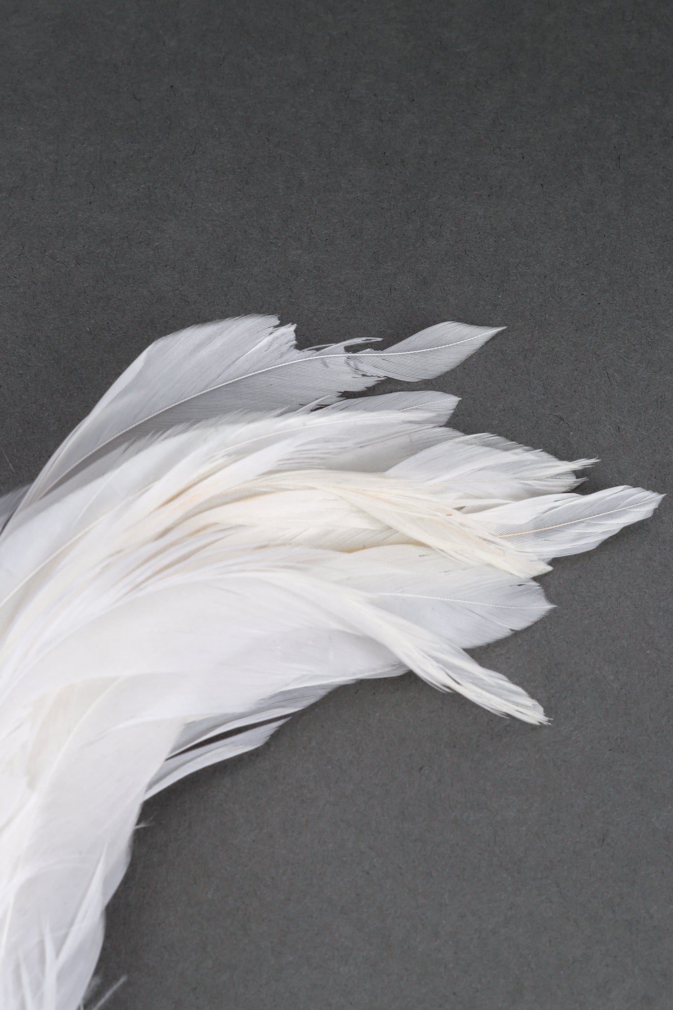 Oscar de la Renta Rhinestone Bird Feather Brooch feather detail @recess la