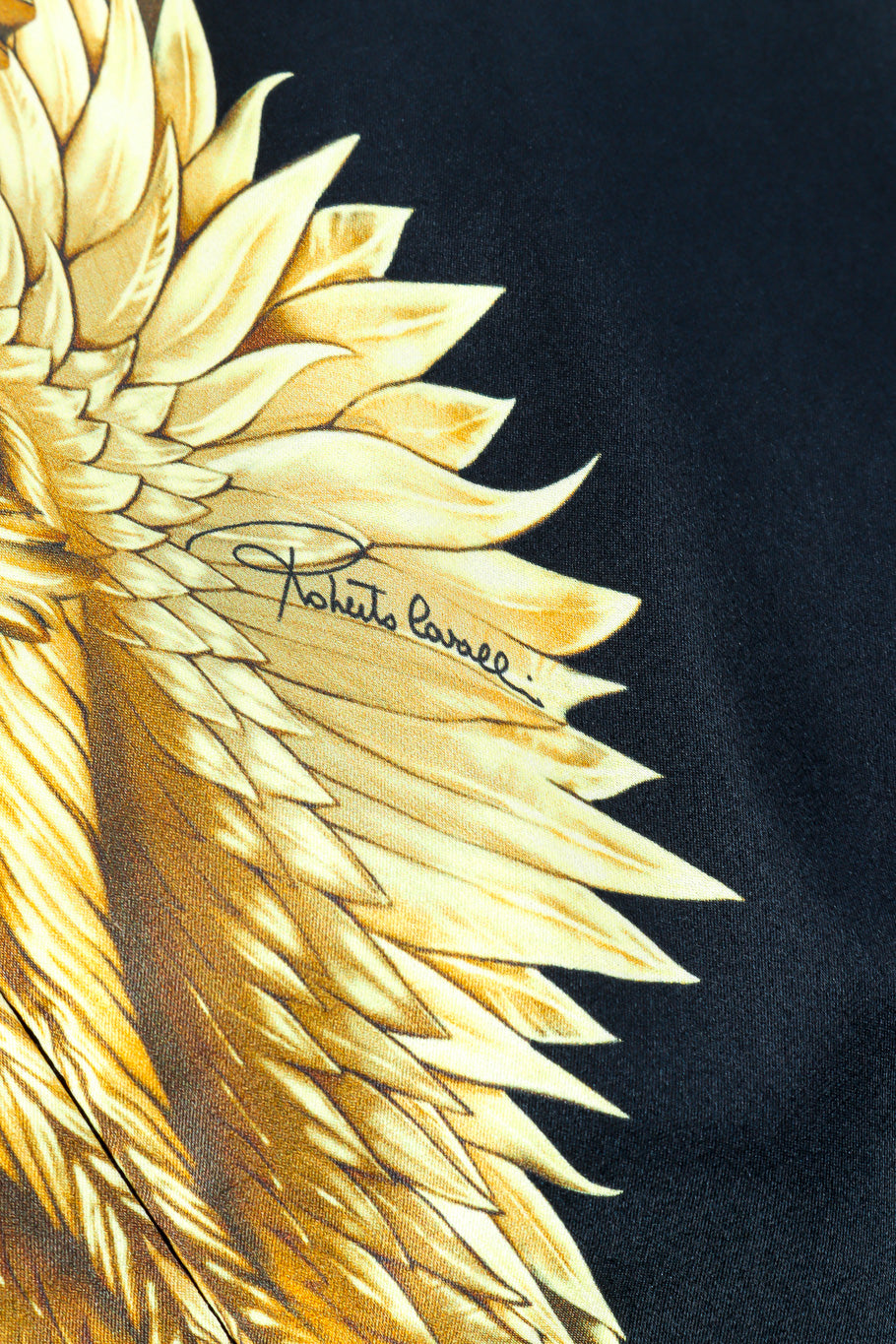 Roberto Cavalli Baroque Wings Graphic Silk Dress Roberto Cavalli signature closeup @Recessla