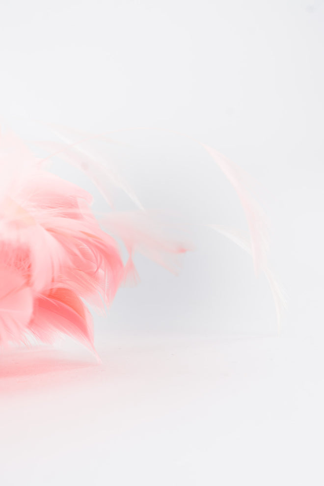 Givenchy Feather Bomb Flamingo Haircomb