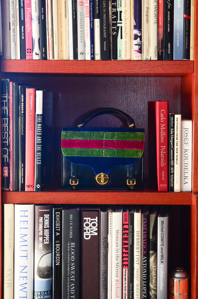 Vintage Roberta di Camerino Velvet Stripe Leather Accordion Bag Displayed on Bookshelf at Recess LA