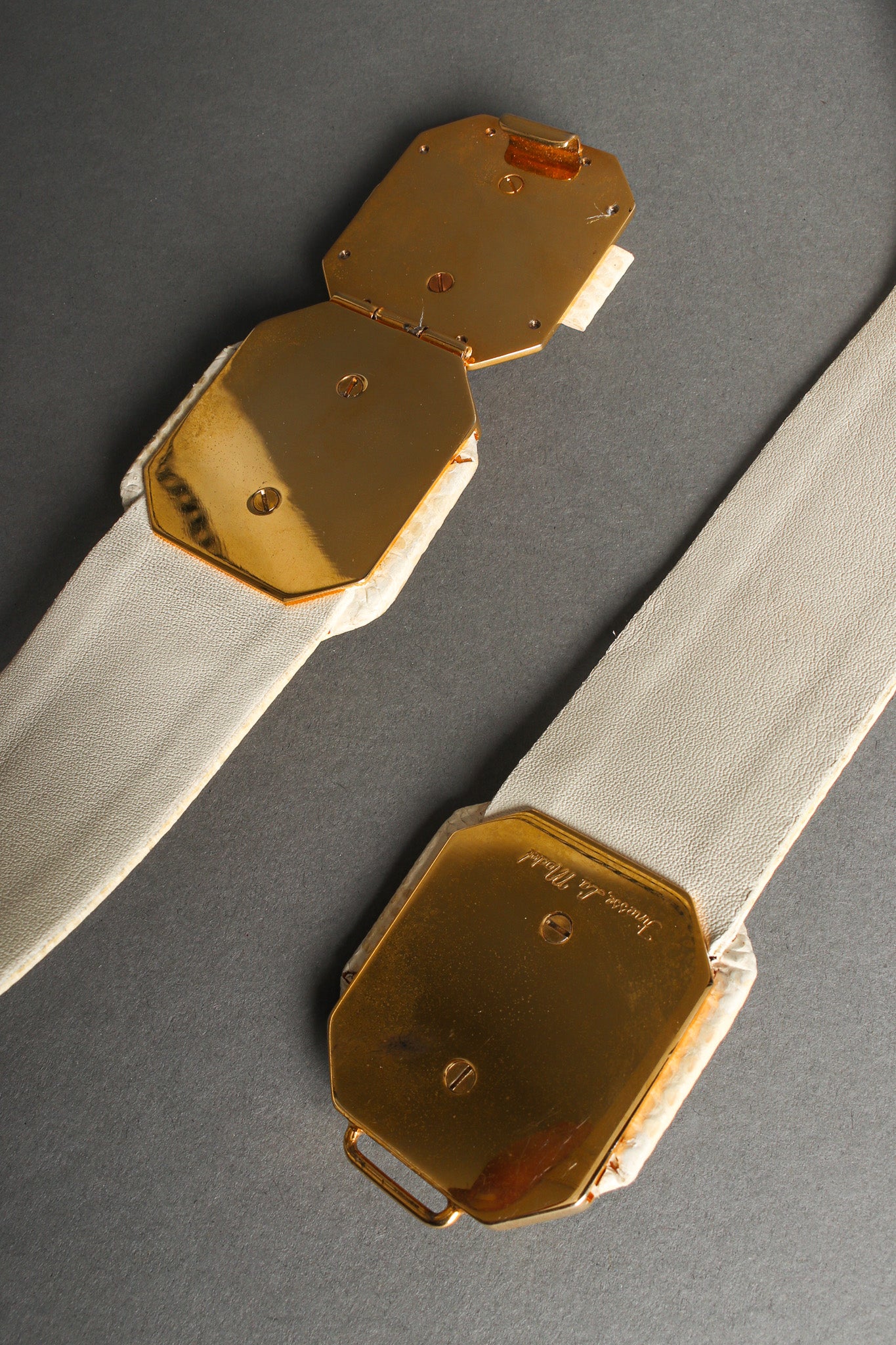 snakeskin slide belt by Finesse LaModel inside buckle @recessla