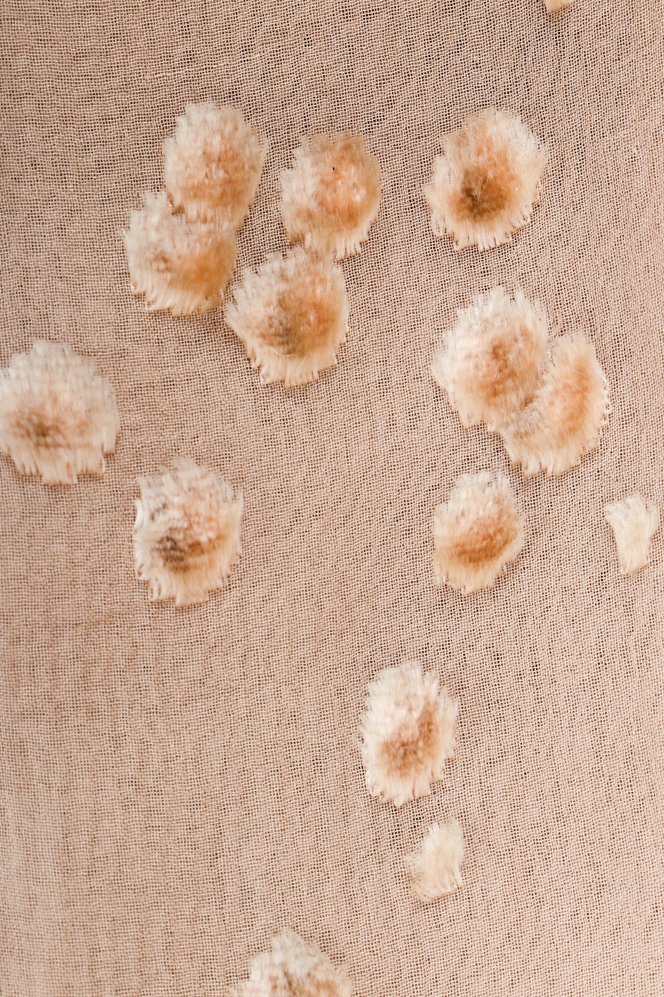 Vintage Lillie Rubin Lioness Burnout FeatherJacket velvet fabric detail