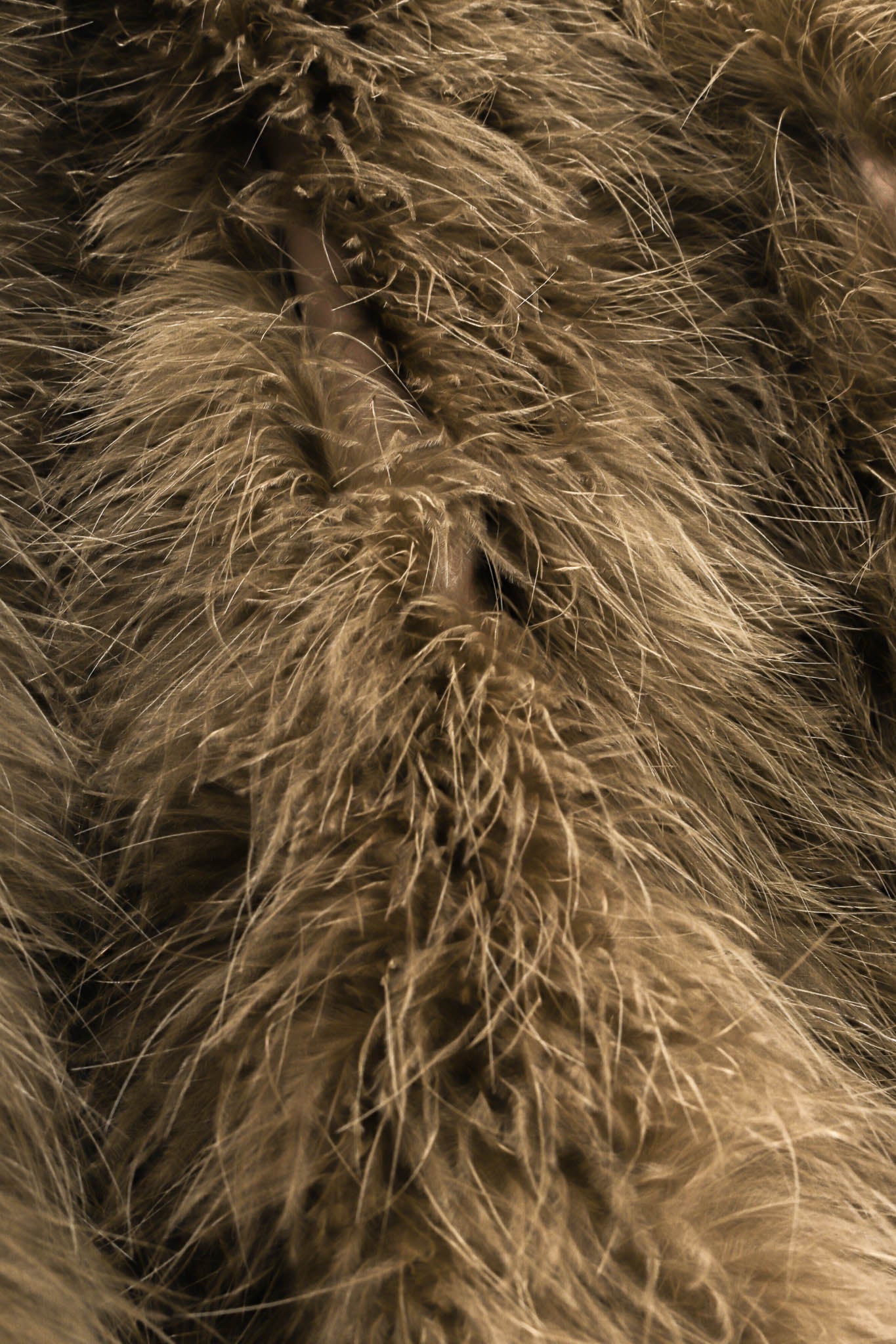 Vintage Moody Moss Feather Coat Closeup Detail at Recess LA
