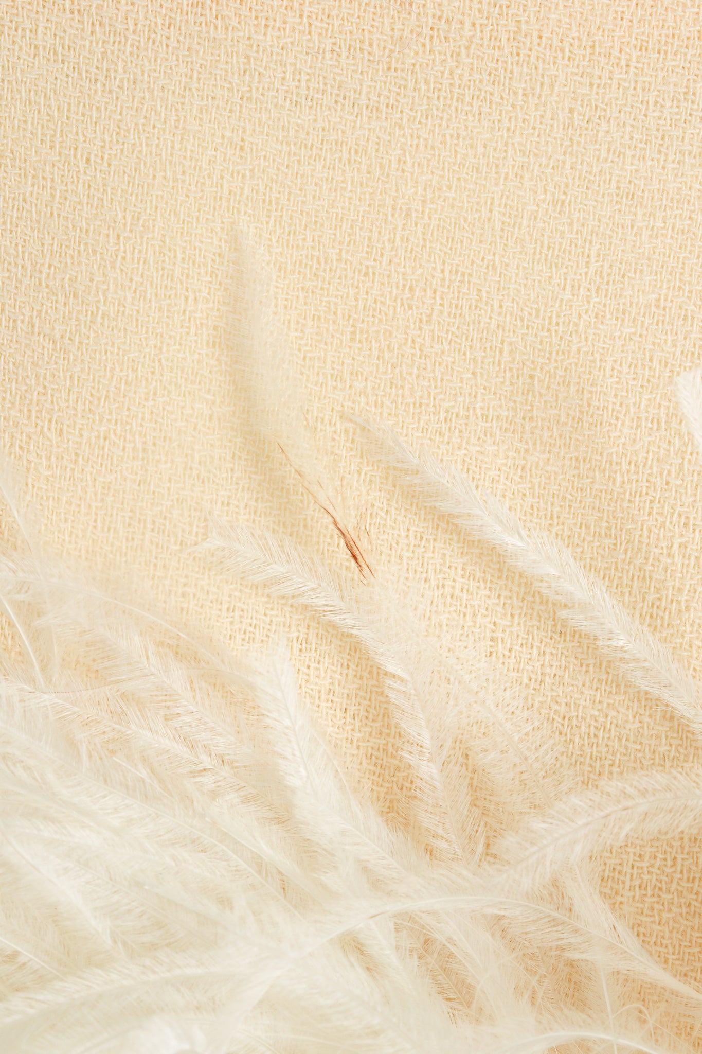 Vintage Teri Jon Wedding bridal Ostrich Pouf Skirt Set Feather Discoloration @ Recess LA